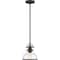 Quoizel Grant Mini Pendant GRTS1508PN - alternate 7